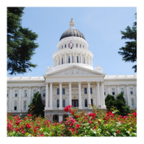Sacramento Capitol Poster posters