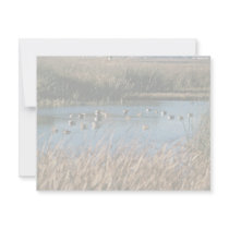 Sacramento National Wildlife Refuge invitations by animalpark Sacramento National Wildlife Refuge invitations