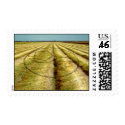 Sacred Chao Crop Circle Stamps by rosaamarilla Sacred Chao Crop Circle Stamps