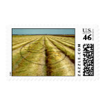 Sacred Chao Crop Circle Stamps