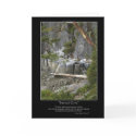 SACRED COVE Greeting-card