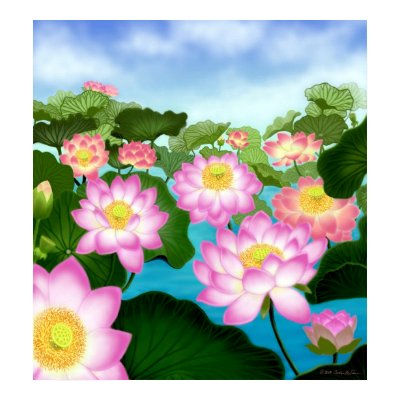 Sacred Lotus Flowers Poster by twopurringcats