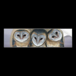 Sacred owls bumper stickers