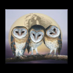 Sacred owls canvas prints