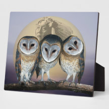 Sacred owls photo plaques