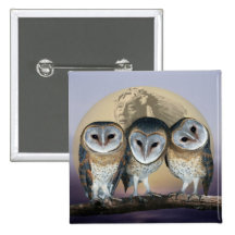 Sacred owls pinback button