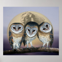 Sacred owls poster