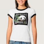 Sacred Panda t-shirts