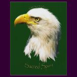 SACRED SPIRIT Bald Eagle