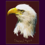 SACRED SPIRIT Bald Eagle