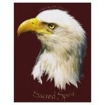 SACRED SPIRIT Bald Eagle flyers