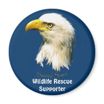 SACRED SPIRIT Bald Eagle Magnets