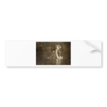 sacrifice to the hippo god bumper sticker