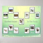 Sacrificial Animals in the Bible Posters