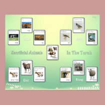 Sacrificial Animals in the Bible posters