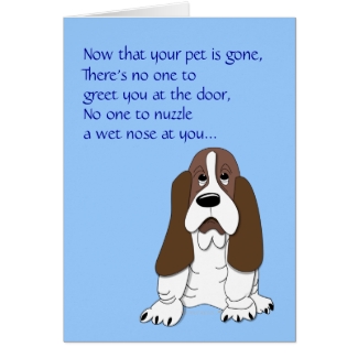 Sad Basset Hound Funny Dog Sympathy Loss of Pet