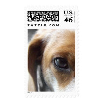 Sad Beagle Mix postage by MenagerieMayhem Sad Beagle Mix postage