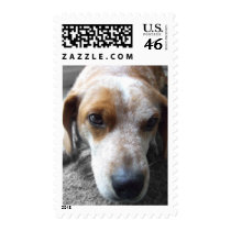 Sad Beagle Mix postage by MenagerieMayhem Sad Beagle Mix postage