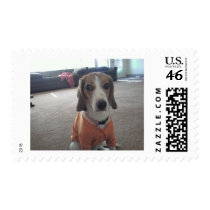 Sad Beagle postage