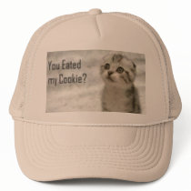 sad cat hats