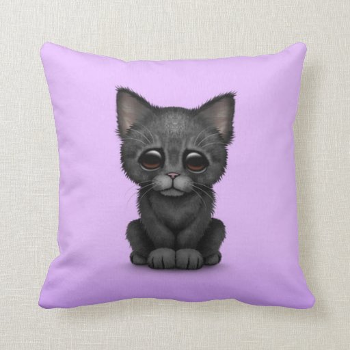 Sad Cute Black Kitten Cat on Purple Pillow Zazzle
