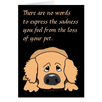 Sad Dog Cartoon Pet Sympathy Card for Loss of Pet