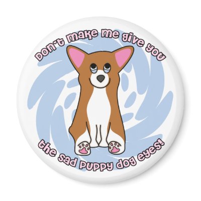 Sad Dog Eyes Pembroke Welsh Corgi Magnet by MenagerieMayhem
