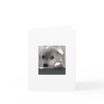 SAD DOG LOOK cards by SUNZUP4U SAD DOG LOOK cards