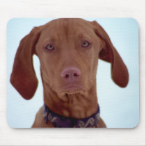 Sad Dog mousepads