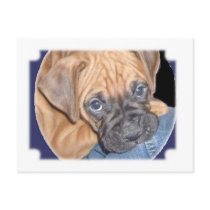 SAD DOG postcards by SUNZUP4U SAD DOG postcards