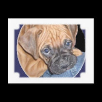 SAD DOG postcards