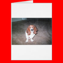 Sad_Doggie_Face cards
