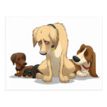 Sad Dogs Postcards