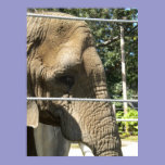 Sad Elephant posters