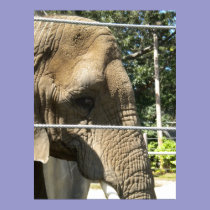 Sad Elephant posters