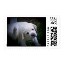 sad eyes postage by PhotoLisa sad eyes postage