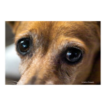 Sad Eyes posters