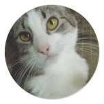 sad eyes stickers stickers