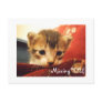 Sad Face Kitten Missing You Postcard