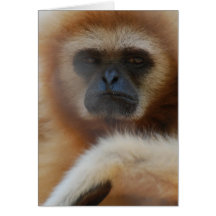 Sad Gibbon Greeting Card