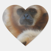 Sad Gibbon Stickers