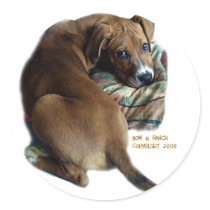Sad Hound Dog stickers