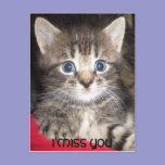 Sad Kitten - I MISS YOU Postcard