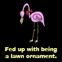 Sad Little 1950s Lawn Ornament Poster print