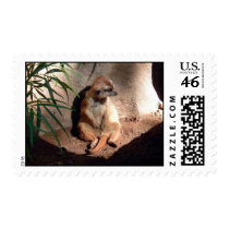 SAD LITTLE CREATURE... postage