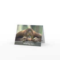 Sad Orangutan Missing You cards by malibuitalian Sad Orangutan Missing You cards