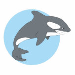 sad orca whale photo cutout