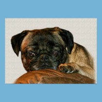 Sad Pug Dog Print