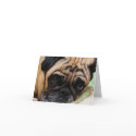 Sad Puggy Note Card by karykid Sad Puggy Note Card
