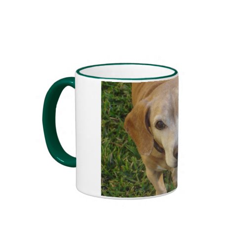 Sad puppy dog eyes mug